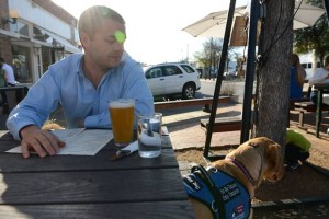 service dog helping soldiers with ptsd