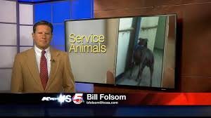 service dog in the news