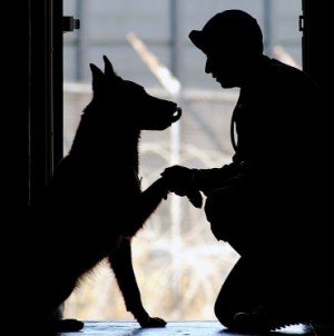 Service dog with US Air Force Airman