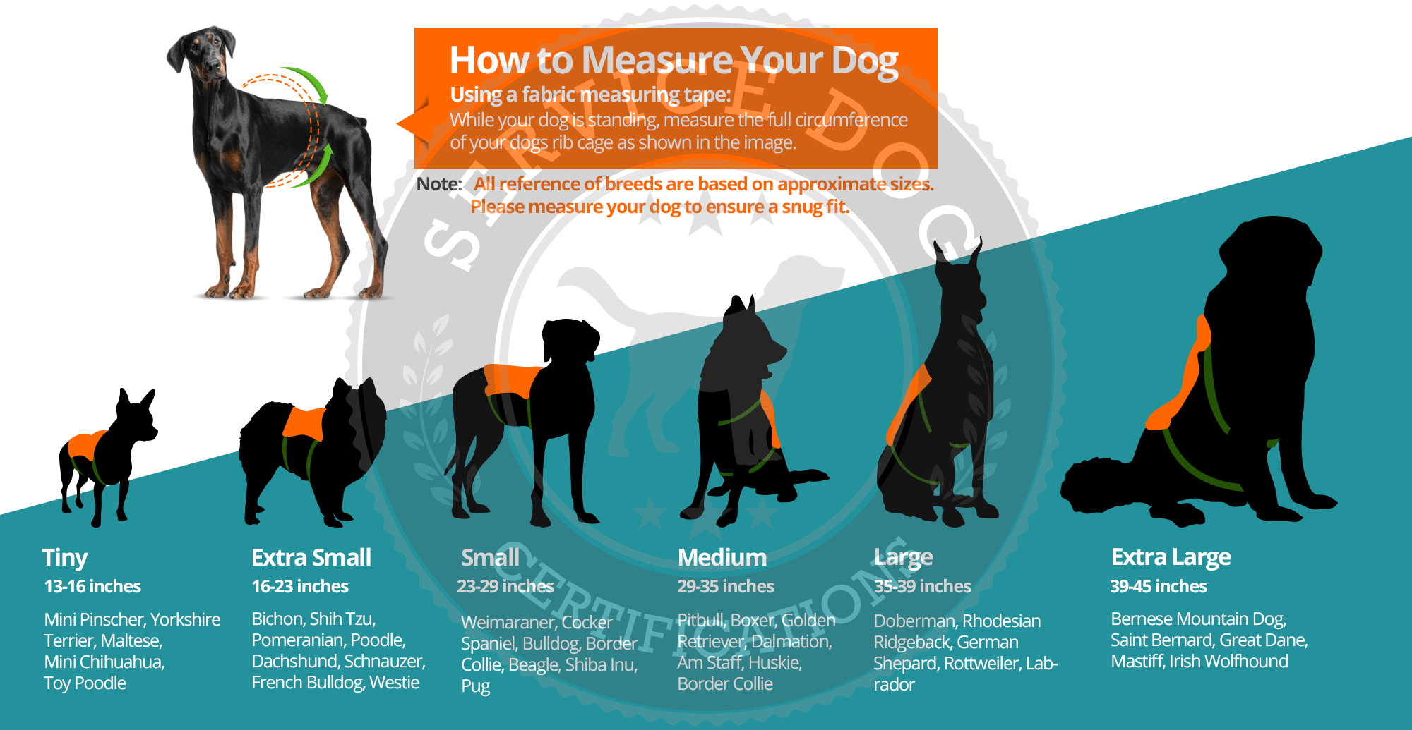 Dog Vest Size Chart