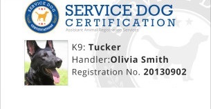 Service Dog Training Certificate Template from www.servicedogcertifications.org