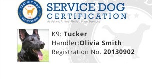 Service Dog Id Card Template from www.servicedogcertifications.org