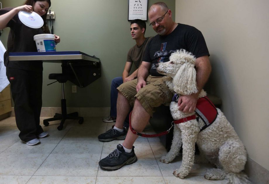 A service dog can be registered after its training is complete.