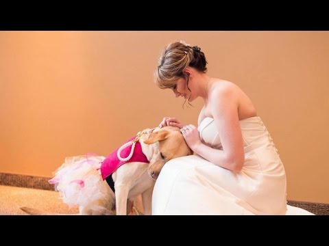 Service dog calming woman