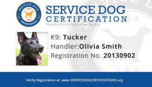 service dog registration papers