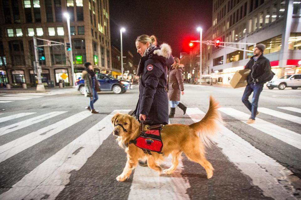 do service dogs have to walk