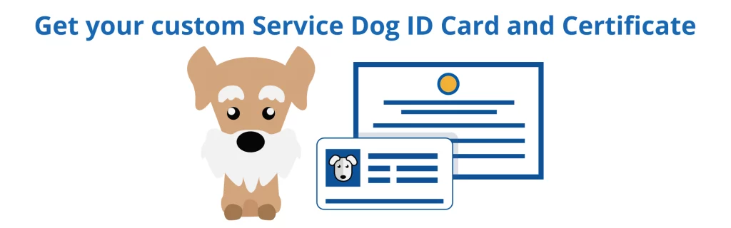 Everything You Need to Know About Being in Las Vegas With Your Service Dog  - Service Dog Certifications