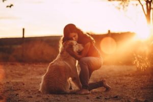 emotional support animal