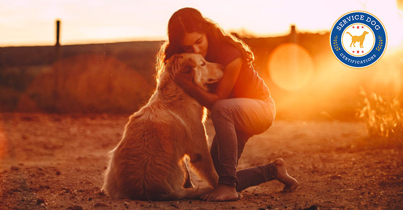 How to get an Emotional Support Dog Letter - Service Dog Certifications How to get an Emotional Support Dog Letter - Service Dog Certifications