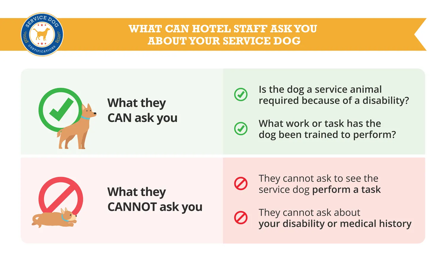 What can hotel staff ask about your service dog - Infographic