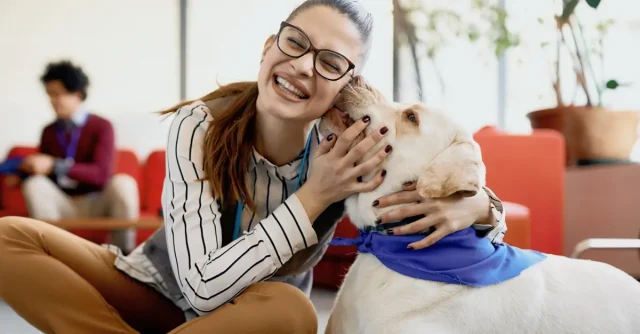 The Difference Between Service Dogs, Emotional Support Animals and Therapy Dogs