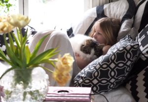 emotional support animals in apartments