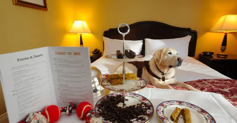 Service Dog Rules for Staying in Hotels