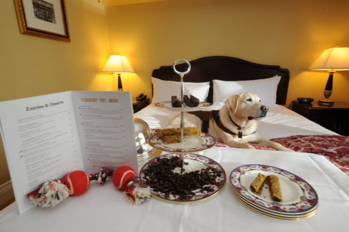 Can Service Dogs Be Left Alone In Hotel Rooms