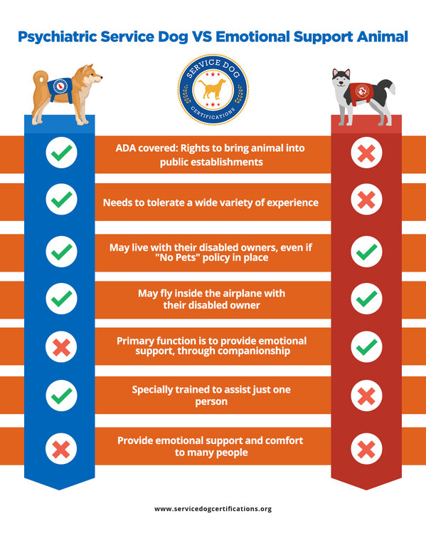 Psychiatric service dog vs. Emotional support animal infographic.