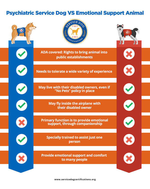 what is the difference between a therapy dog and an emotional support dog