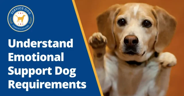 Emotional Support Dog Requirements