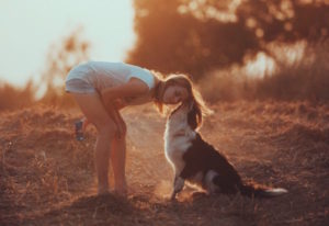 Psychiatric service dog
