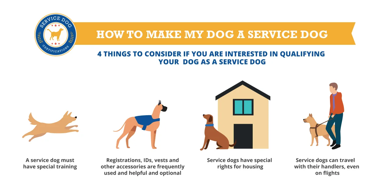 How to make my dog a service dog (infographic) - Service Dog Certifications