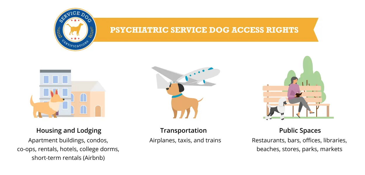 Psychiatric Service Dog Access Rights - Infographic