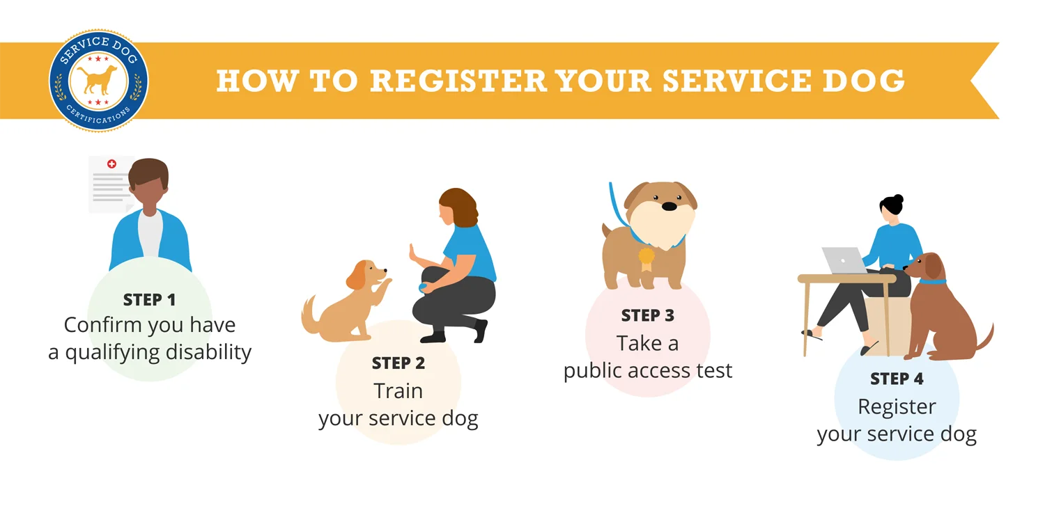 How to register your service dog - 4 steps - infographic