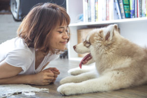 Service Dog Registration
