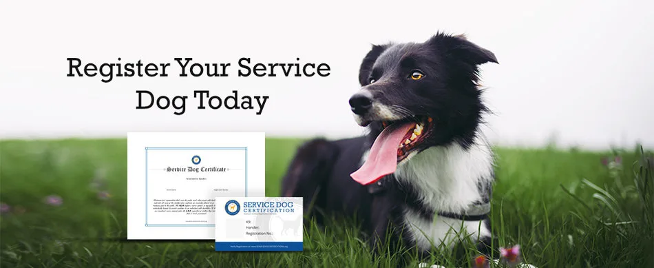 How Can I Get My Dog to Be a Registered Service Dog? - Service Dog  Certifications