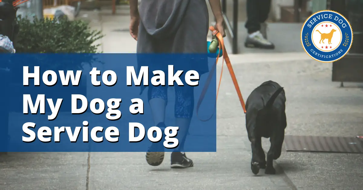 How to Make My Dog a Service Dog