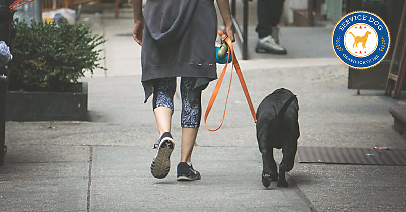 How to Make My Dog a Service Dog - Service Dog Certifications How to Make My Dog a Service Dog - Service Dog Certifications