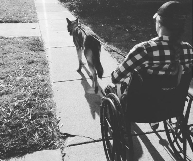 Service Dog Training for Mobility Assistance
