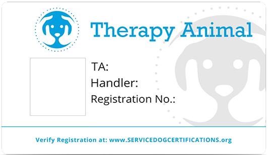 Therapy dog registration