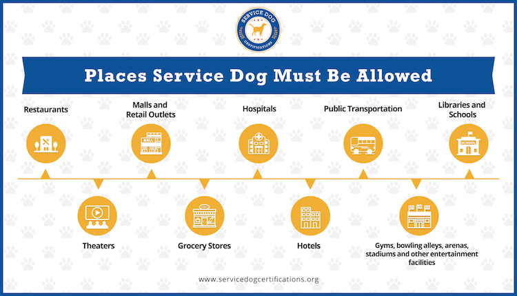 Places Service Dog Must Be Allowed (Infographic)