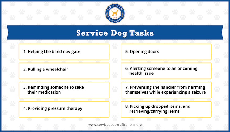 Service Dog Tasks (Infographic)