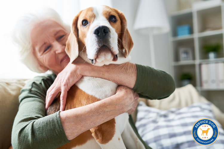 A service dog appreciates love and care more than receiving expensive goods.