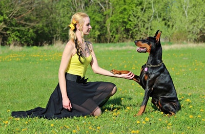 panic attack dog training