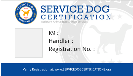 therapy dog certification online