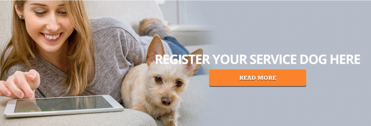 Register Your Service Dog Here - ServiceDogCertifications