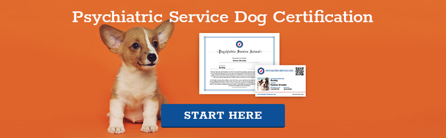 Psychiatric Service Dog Certification - Start Here