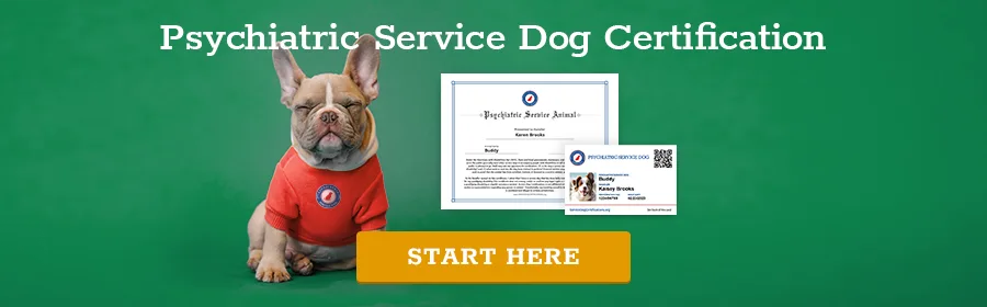 Psychiatric Service Dog Certification - Start Here