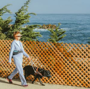 california service dog