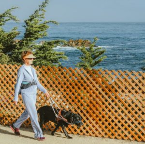 california service dog