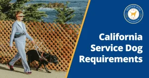 California Service Dog Requirements