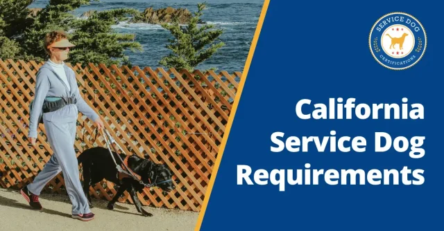 California Service Dog Requirements