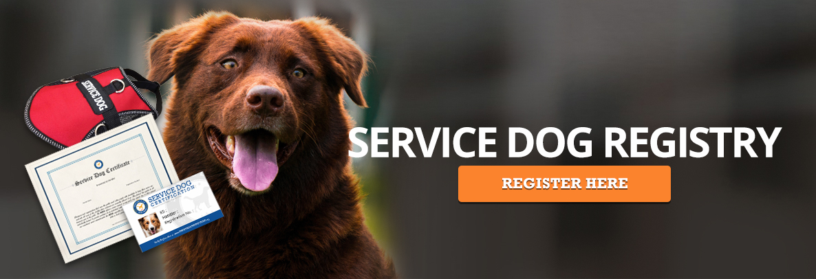 service dog registration banner