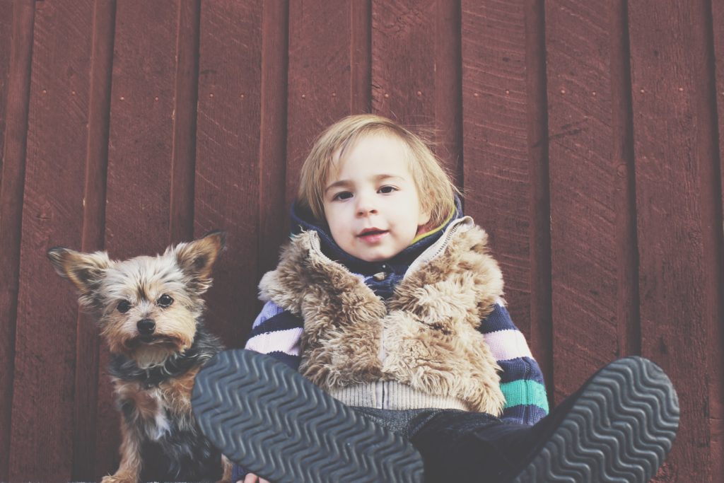 Children with autism can benefit from having an autism service dog.