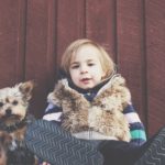 yorkie service dog vest