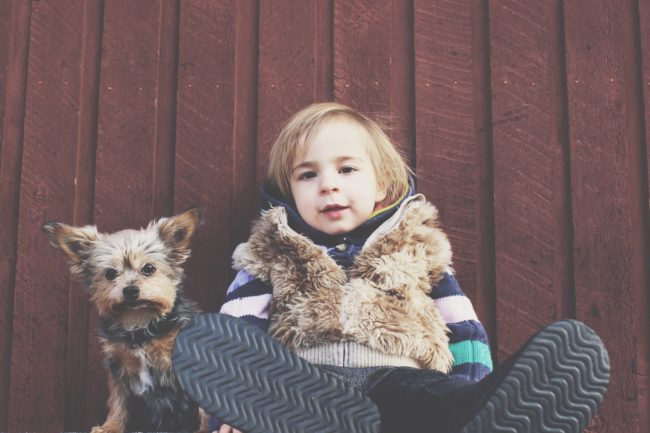 liitle boy and yorkie dog