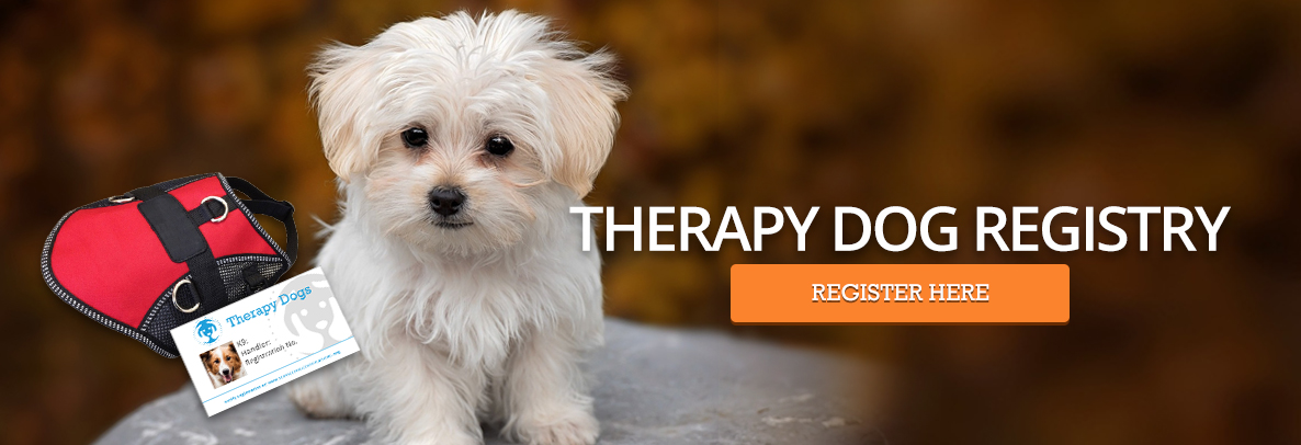 register dog as therapy animal