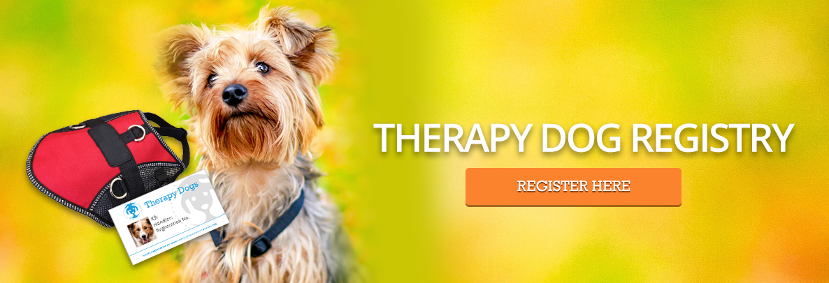 qualified therapy dog organizations