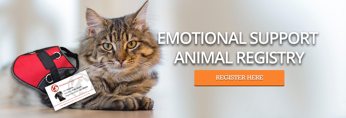 Emotional Support Animal Registration- Cats 2